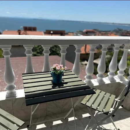 николета Guest house *